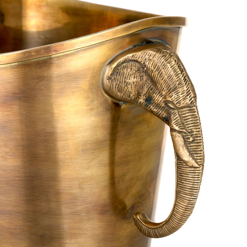 Cubitera Maharaja