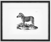 Print animal