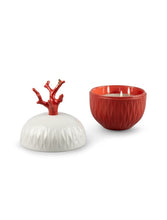 Vela Coral de Lladró
