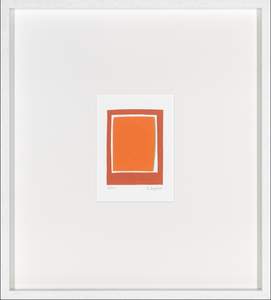 Colección Denise Duplock