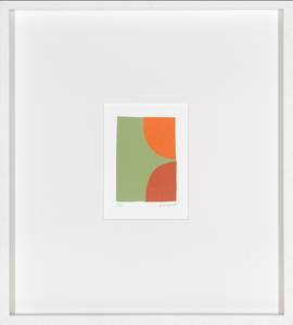 Colección Denise Duplock