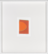 Colección Denise Duplock
