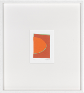 Colección Denise Duplock